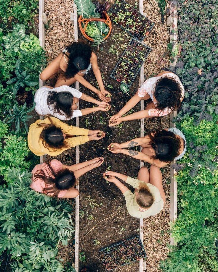 Mujeres sembrando juntas en un huerto, vistas desde arriba